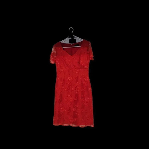 TAHARI Red Lace A-line Dress Arthur S. Levine Sz 4 Red Short Sleeve Party - Picture 3 of 16
